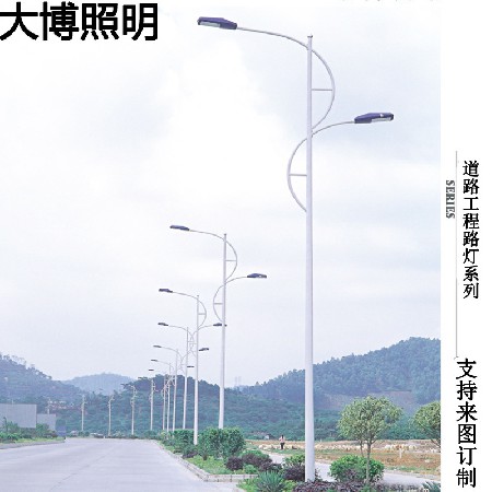 LED市電路燈農村道路改造亮化工程太陽能路燈特色路燈廠家批發(fā)
